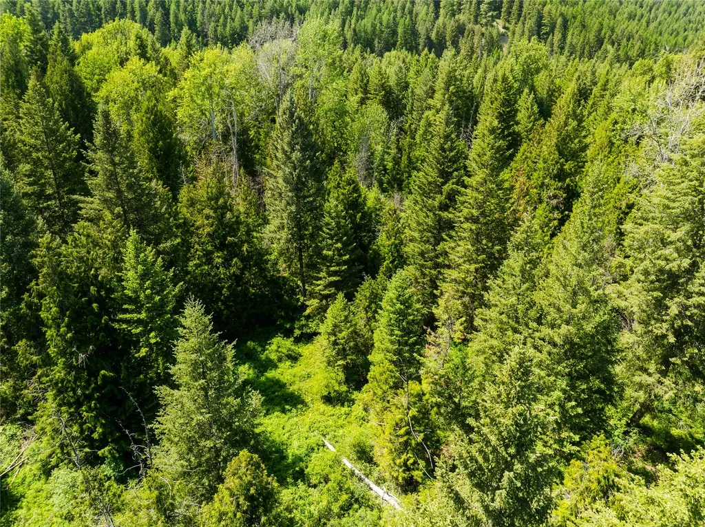 Tbd, Lot 1 Parmenter Road Libby MT 59923