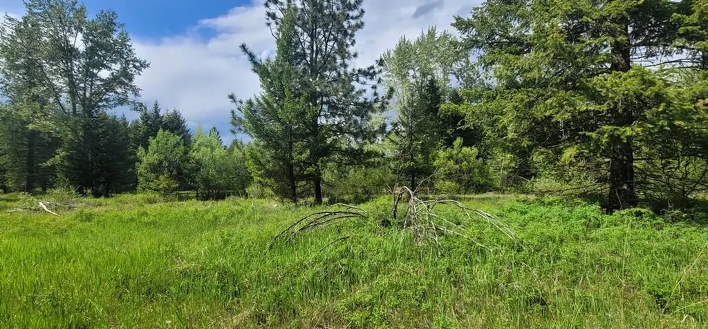Tbd, Lot 1 Parmenter Road Libby MT 59923