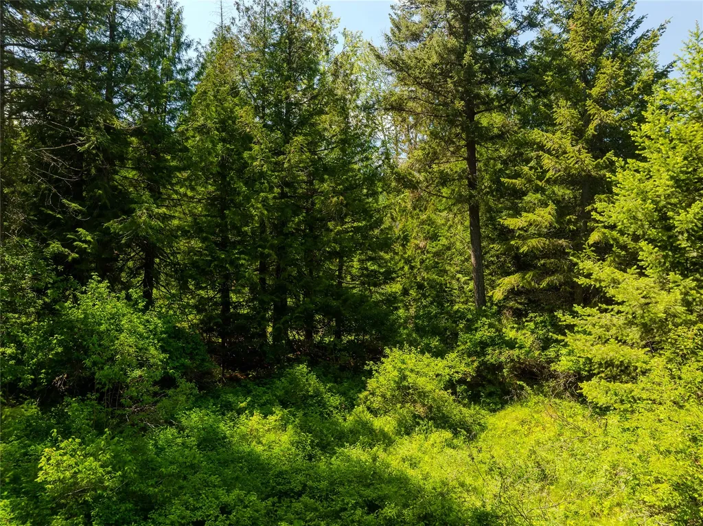 Tbd, Lot 1 Parmenter Road Libby MT 59923