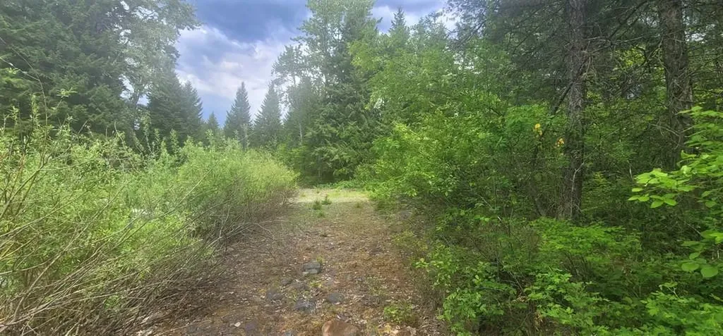 Tbd, Lot 1 Parmenter Road Libby MT 59923