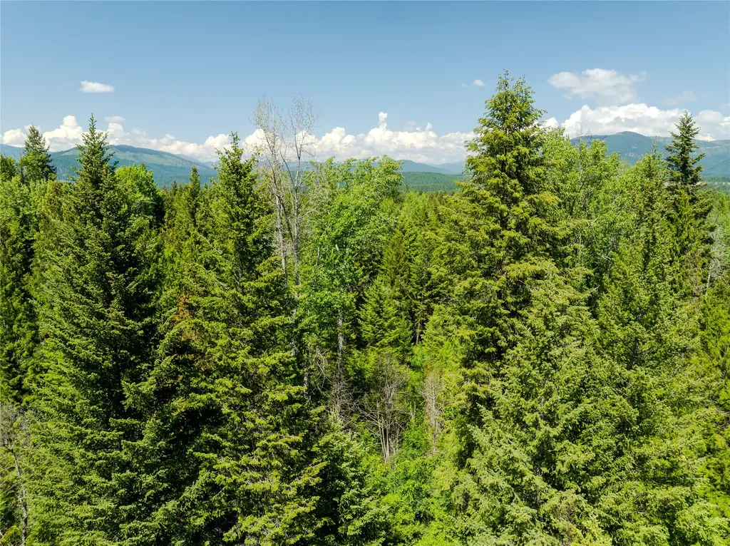 Tbd, Lot 1 Parmenter Road Libby MT 59923