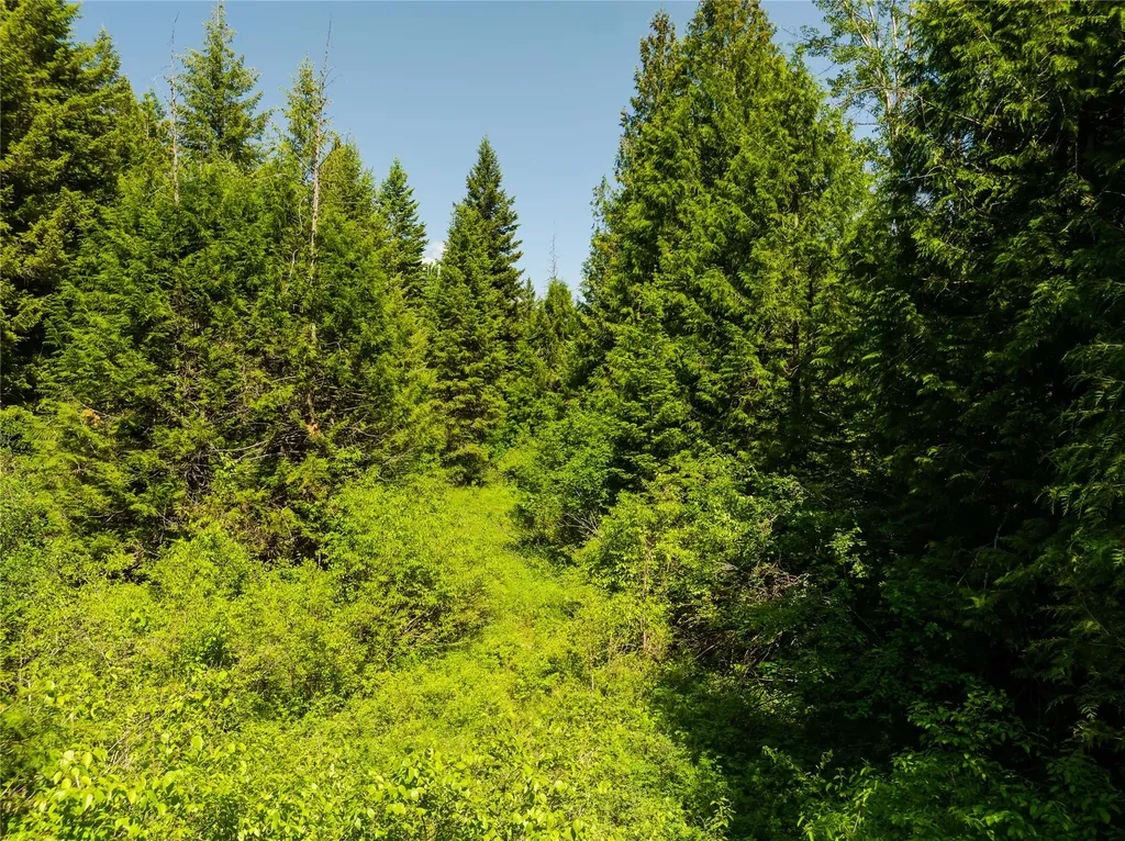 Tbd, Lot 1 Parmenter Road Libby MT 59923