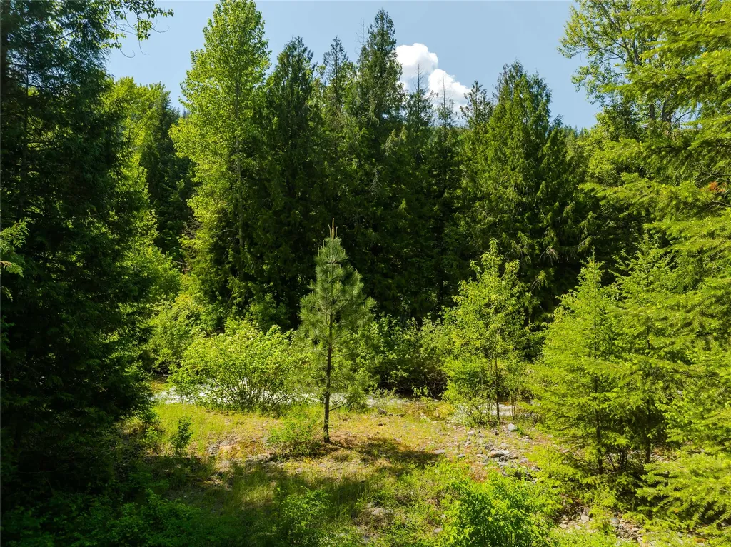 Tbd, Lot 1 Parmenter Road Libby MT 59923