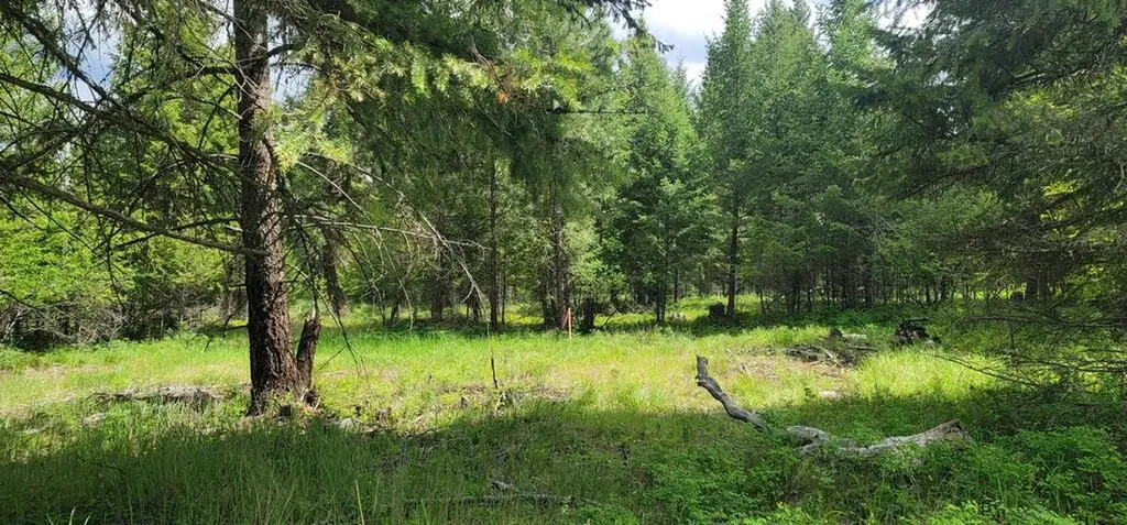 Tbd, Lot 1 Parmenter Road Libby MT 59923
