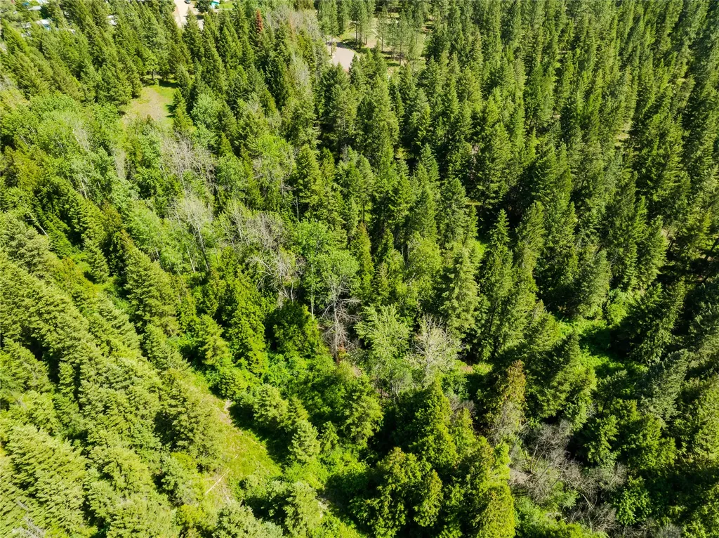 Tbd, Lot 1 Parmenter Road Libby MT 59923