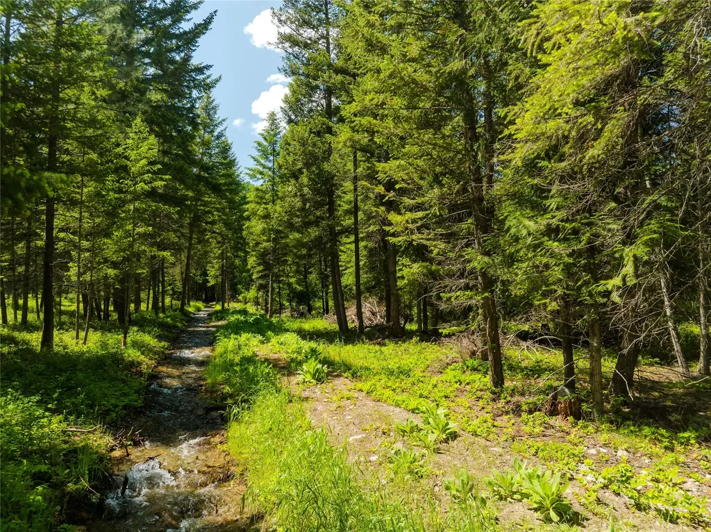 Tbd, Lot 1 Parmenter Road Libby MT 59923