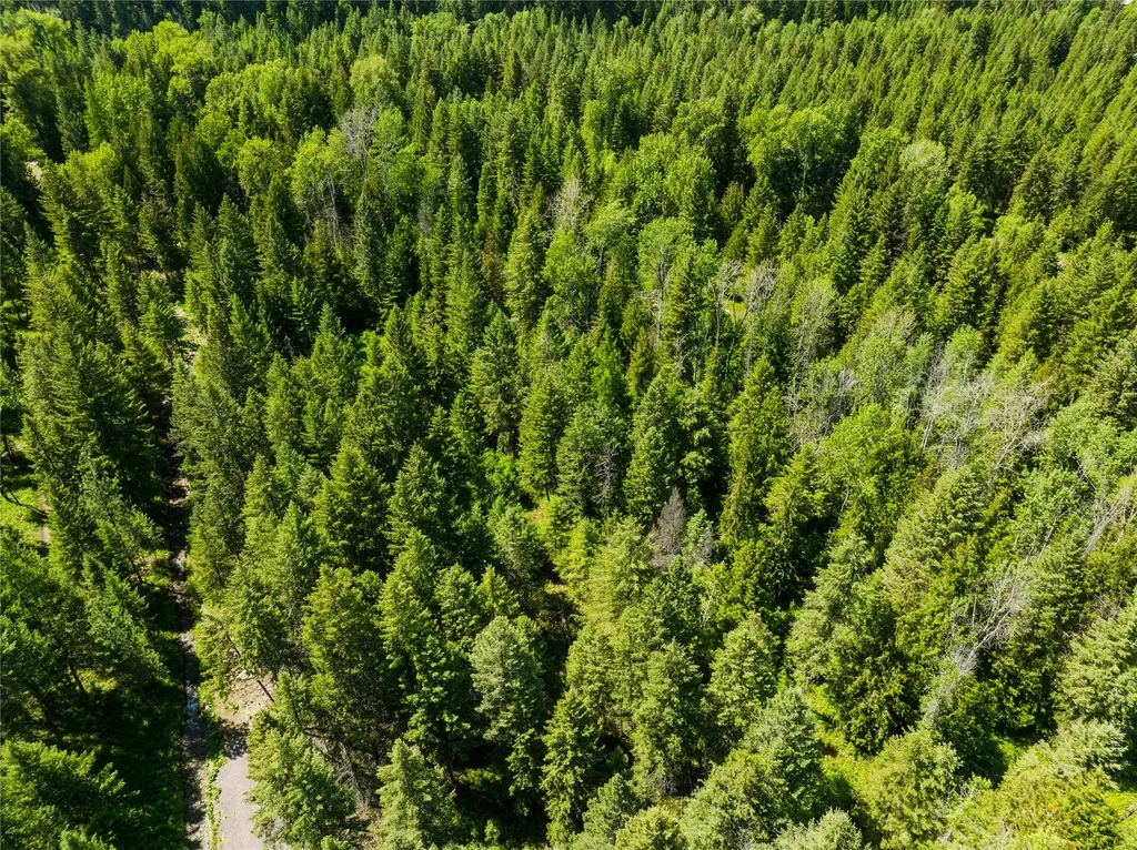 Tbd, Lot 1 Parmenter Road Libby MT 59923