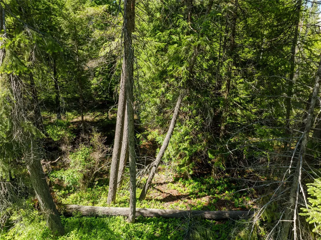 Tbd, Lot 1 Parmenter Road Libby MT 59923