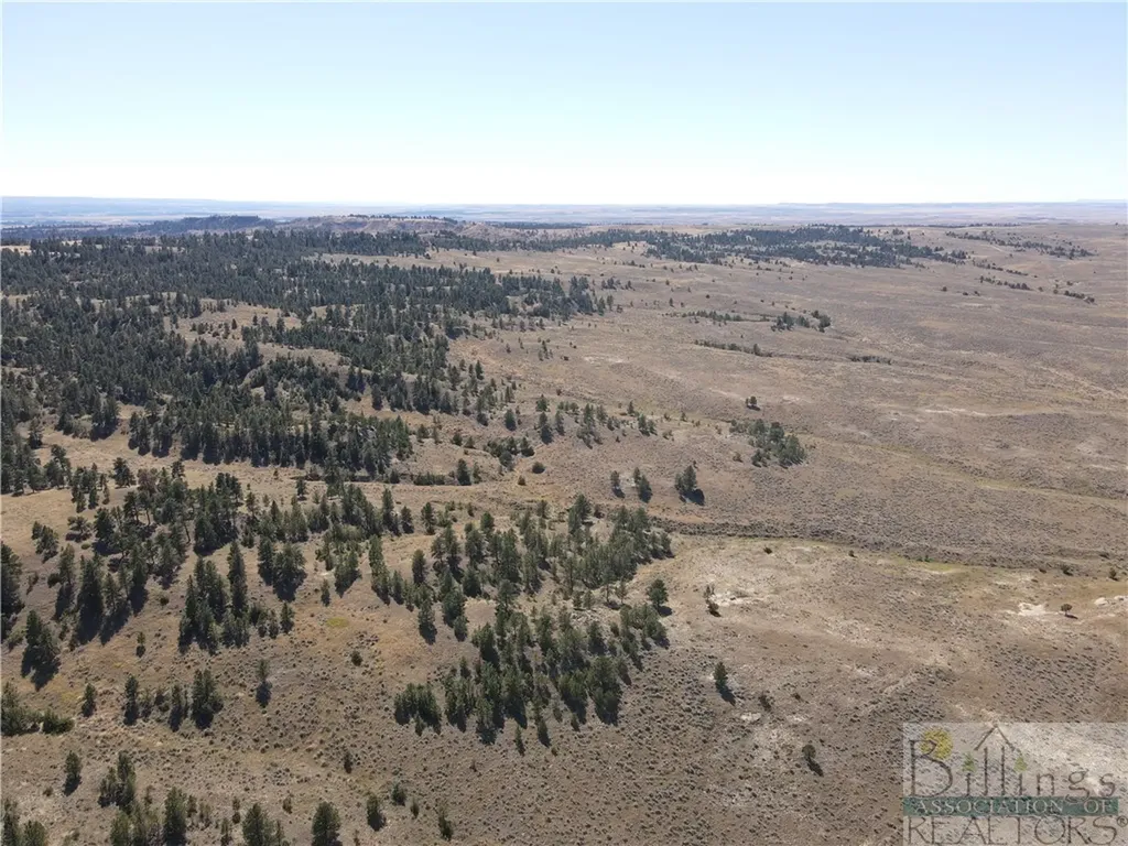 6031 Mussellshell Trail Road Custer MT 59024