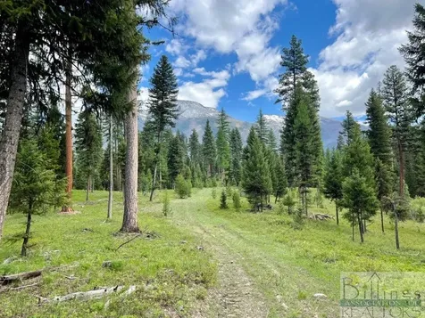 Nhn Condon Loop, Condon, Mount Other MT 59826