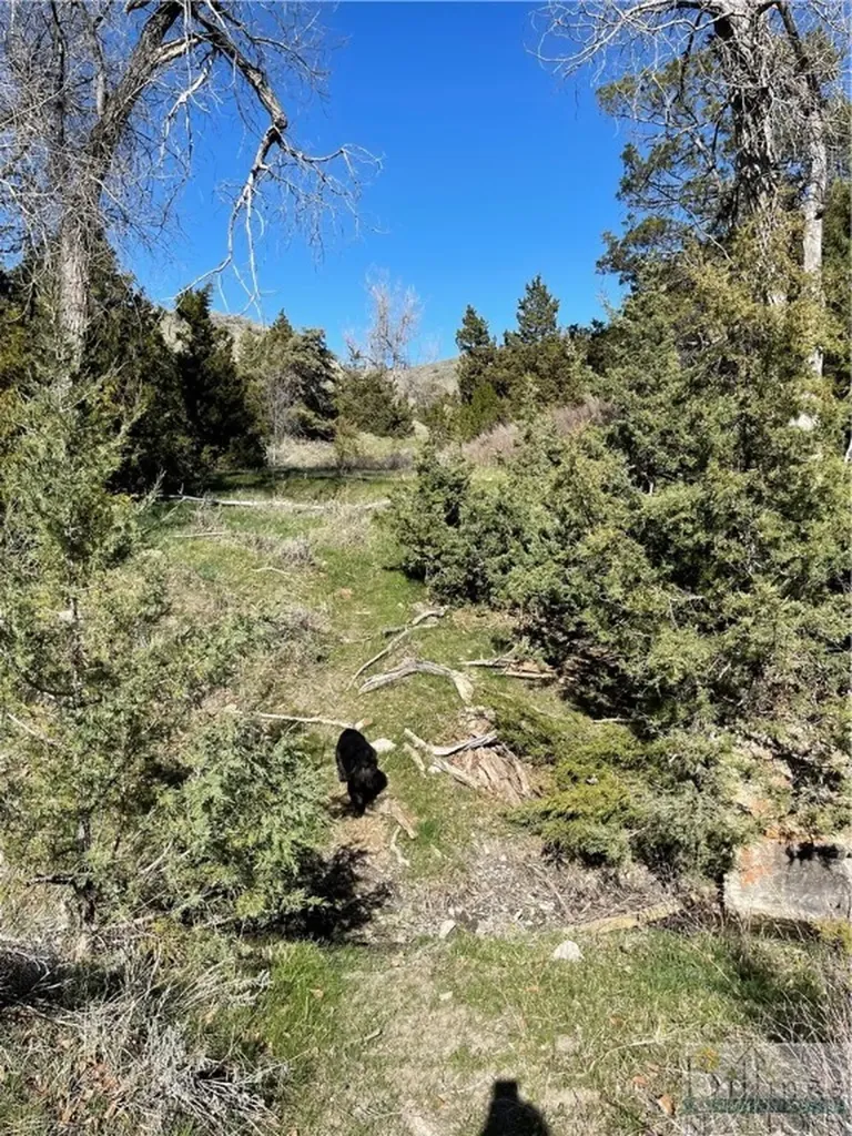 Nsn Moser Dome Road Laurel MT 59044