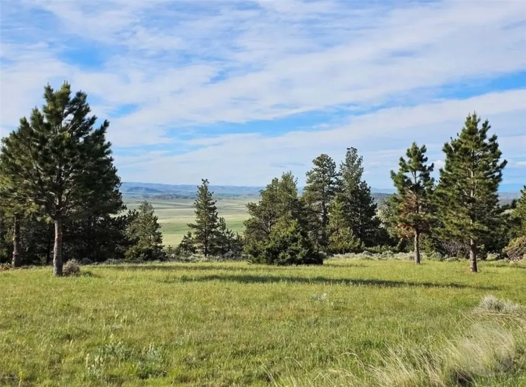 132 Eagle Point Lane Bridger MT 59014