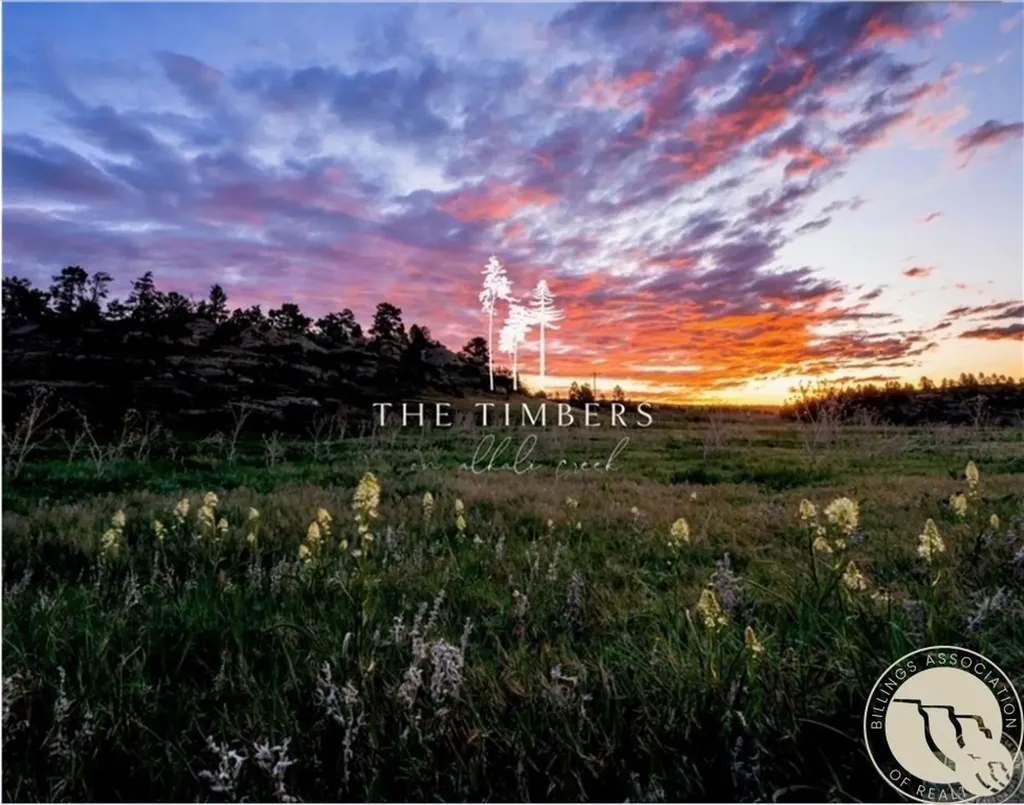 Lot 6 Timbers Boulevard S Billings MT 59105