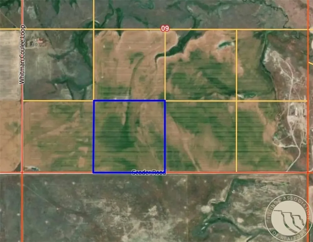 Tbd 40 Ac Whitman Coulee Loop Hardin MT 59034