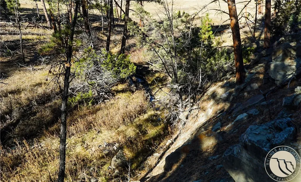 0 Dry Hole Trail Reed Point MT 59069