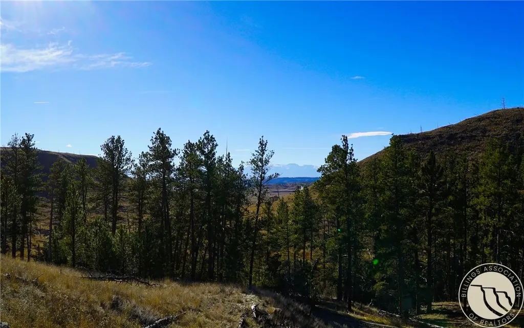 0 Dry Hole Trail Reed Point MT 59069