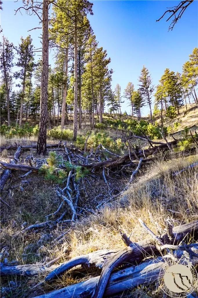 0 Dry Hole Trail Reed Point MT 59069