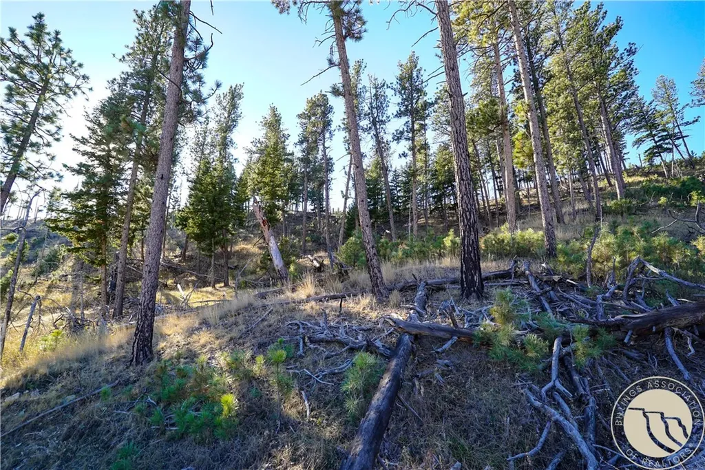 0 Dry Hole Trail Reed Point MT 59069