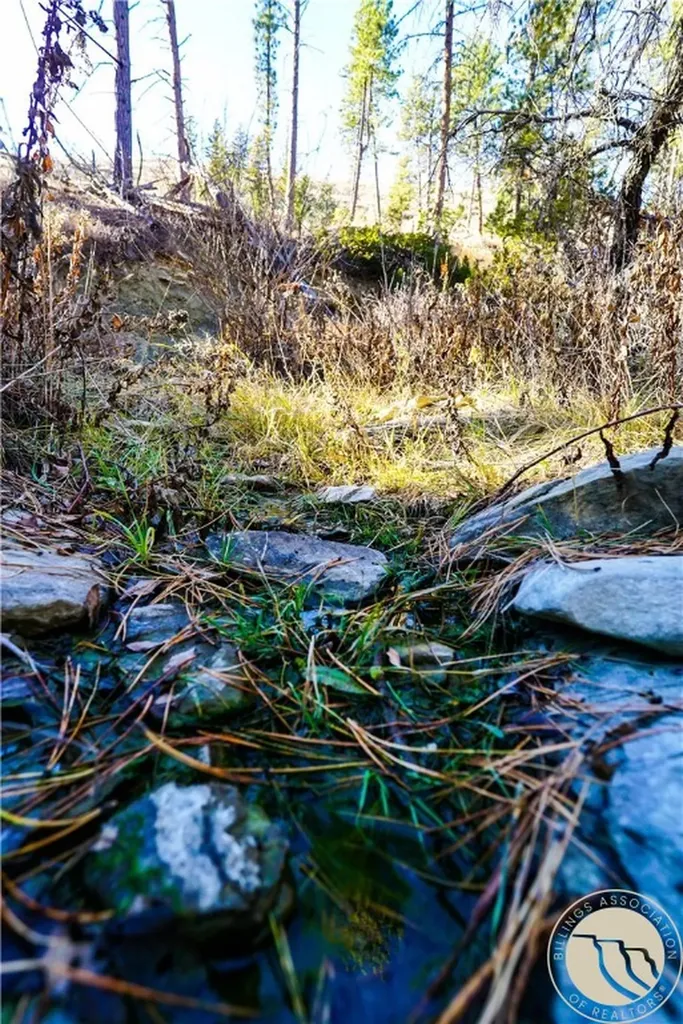 0 Dry Hole Trail Reed Point MT 59069