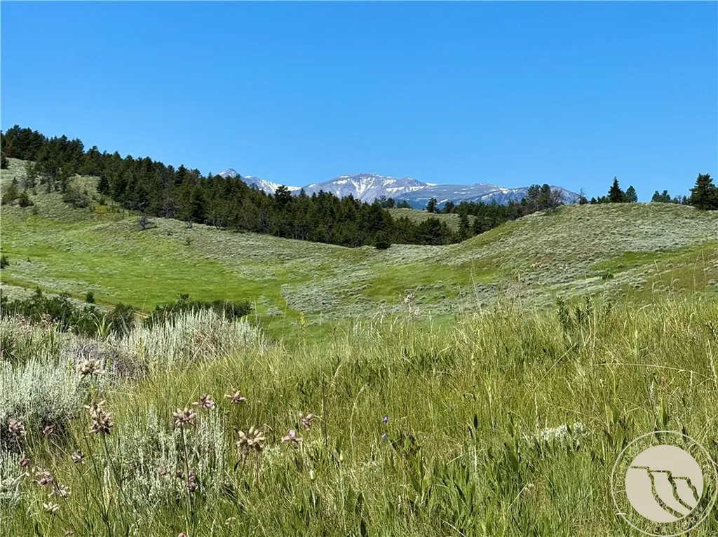 Tbd 2 Turnback Trail Red Lodge MT 59068
