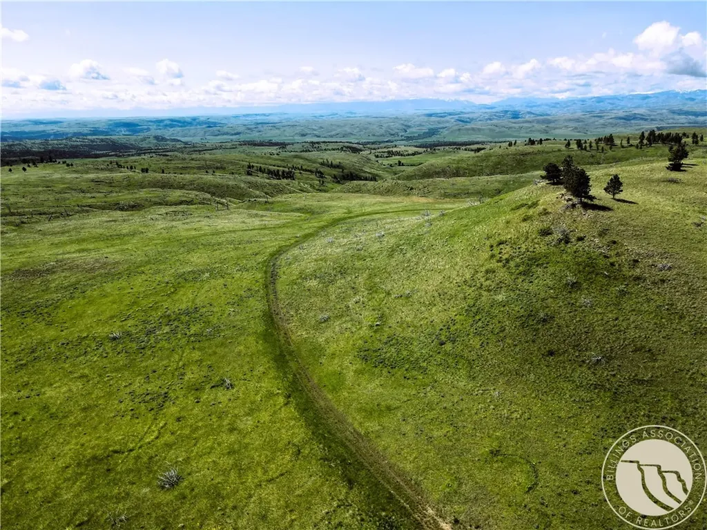 Tbd Deadmans Canyon Road Reed Point MT 59601