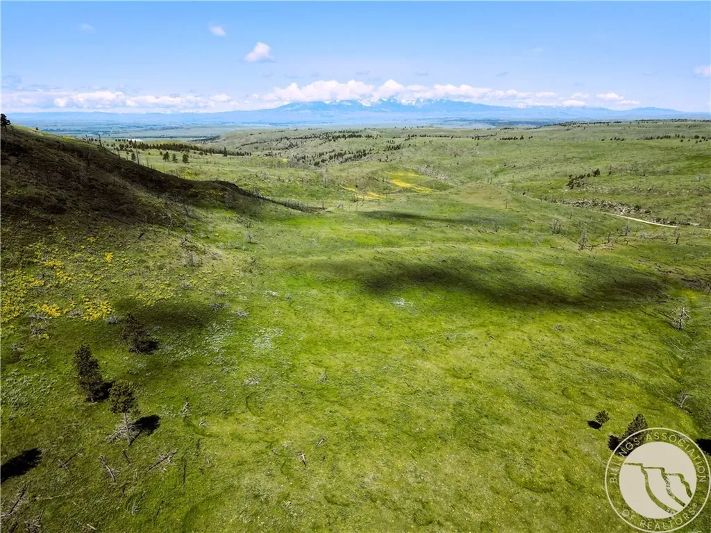 Tbd Deadmans Canyon Road Reed Point MT 59601