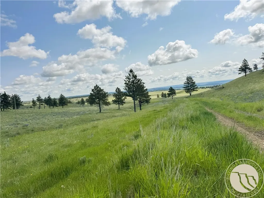 Tbd Deadmans Canyon Road Reed Point MT 59601
