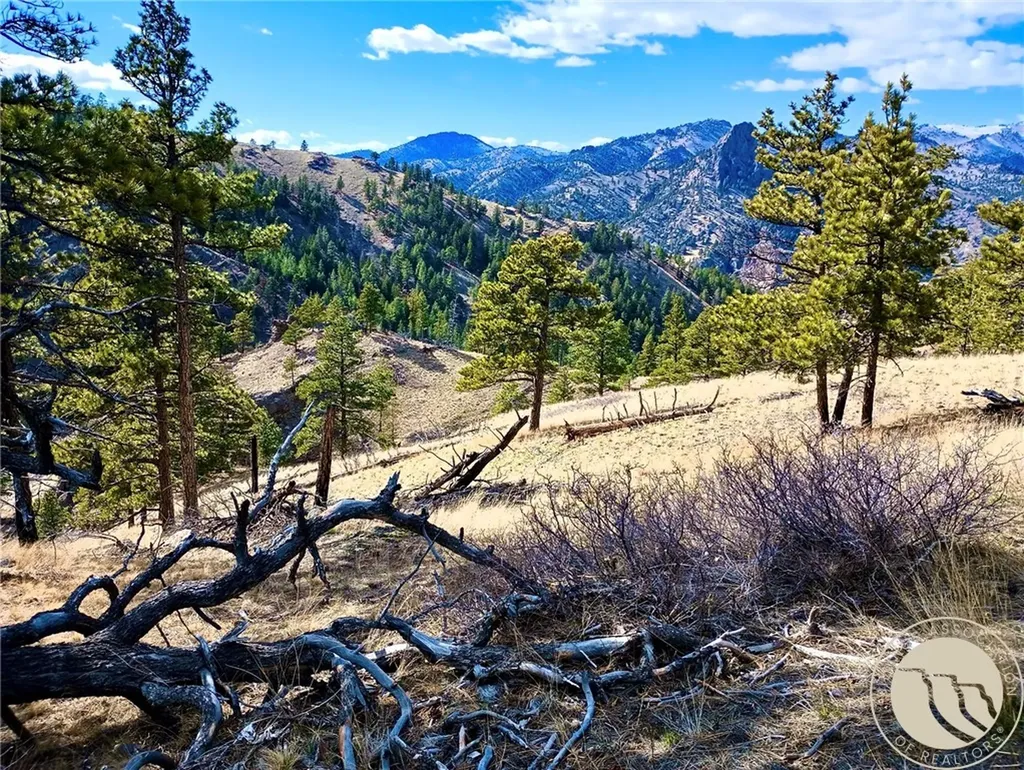 0 Novak Creek Lane Other MT 59421