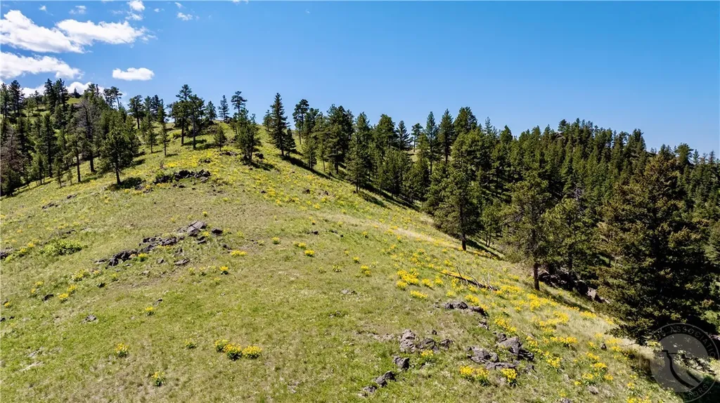 0 Novak Creek Lane Other MT 59421
