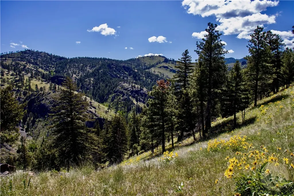 0 Novak Creek Lane Other MT 59421