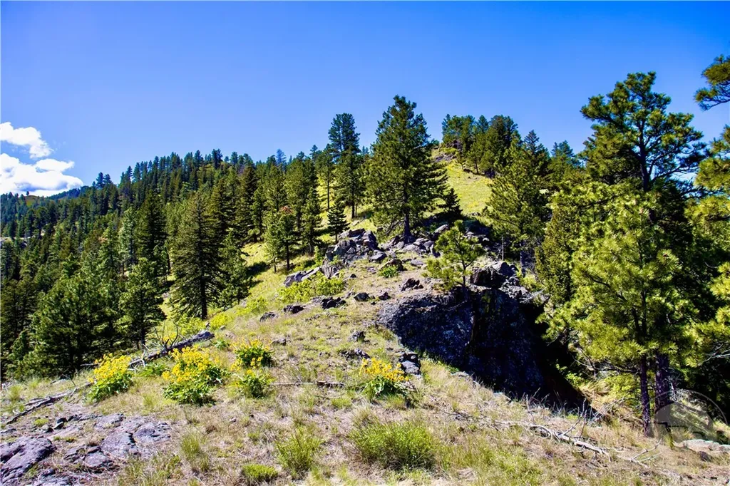 0 Novak Creek Lane Other MT 59421