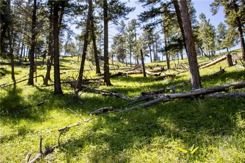0 Novak Creek Lane Other MT 59421