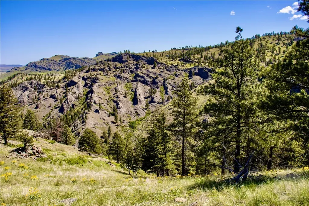 0 Novak Creek Lane Other MT 59421