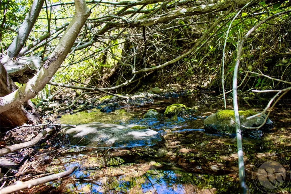 0 Novak Creek Lane Other MT 59421