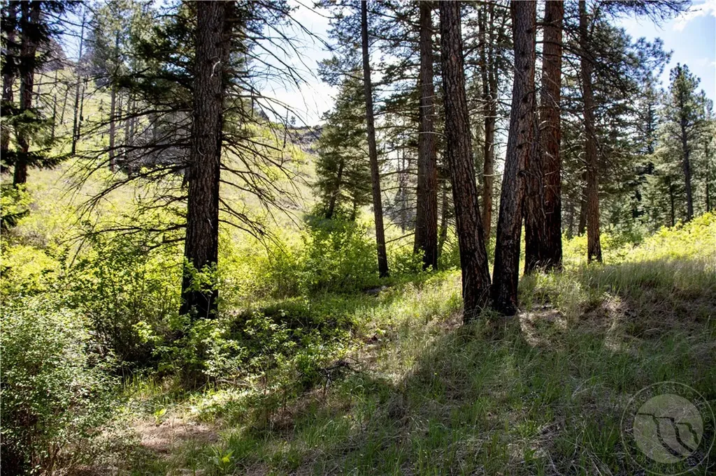 0 Novak Creek Lane Other MT 59421