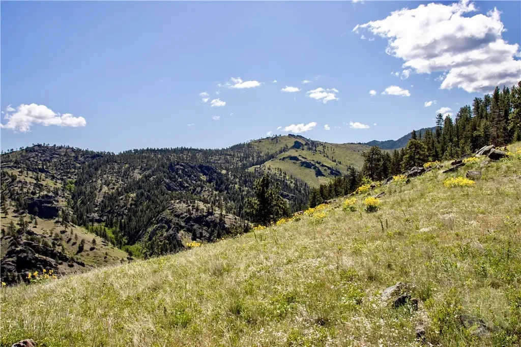 0 Novak Creek Lane Other MT 59421