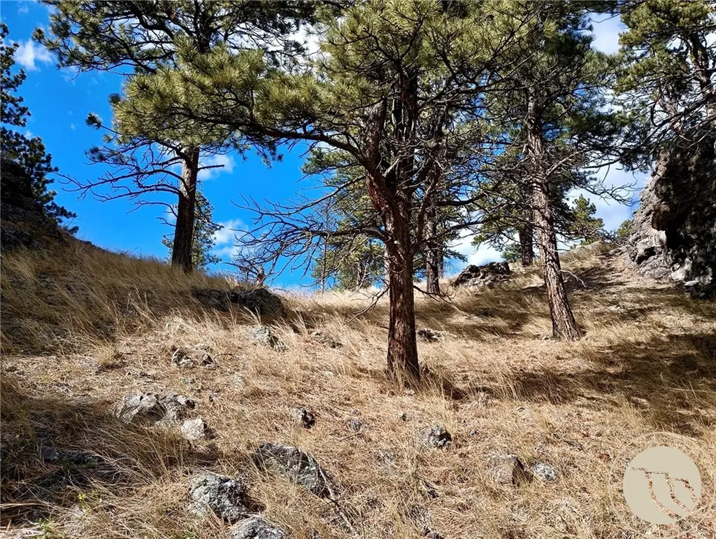 0 Novak Creek Lane Other MT 59421