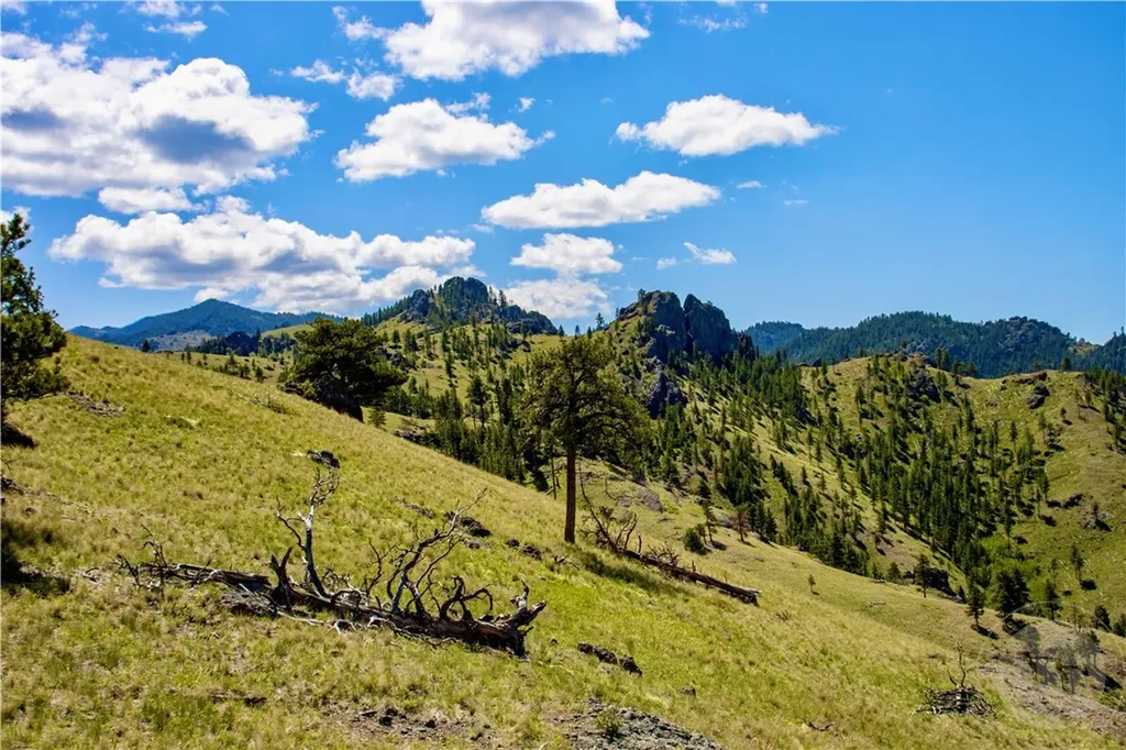0 Novak Creek Lane Other MT 59421
