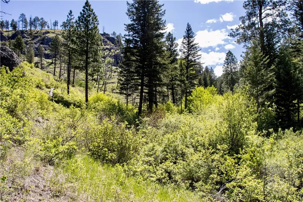 0 Novak Creek Lane Other MT 59421