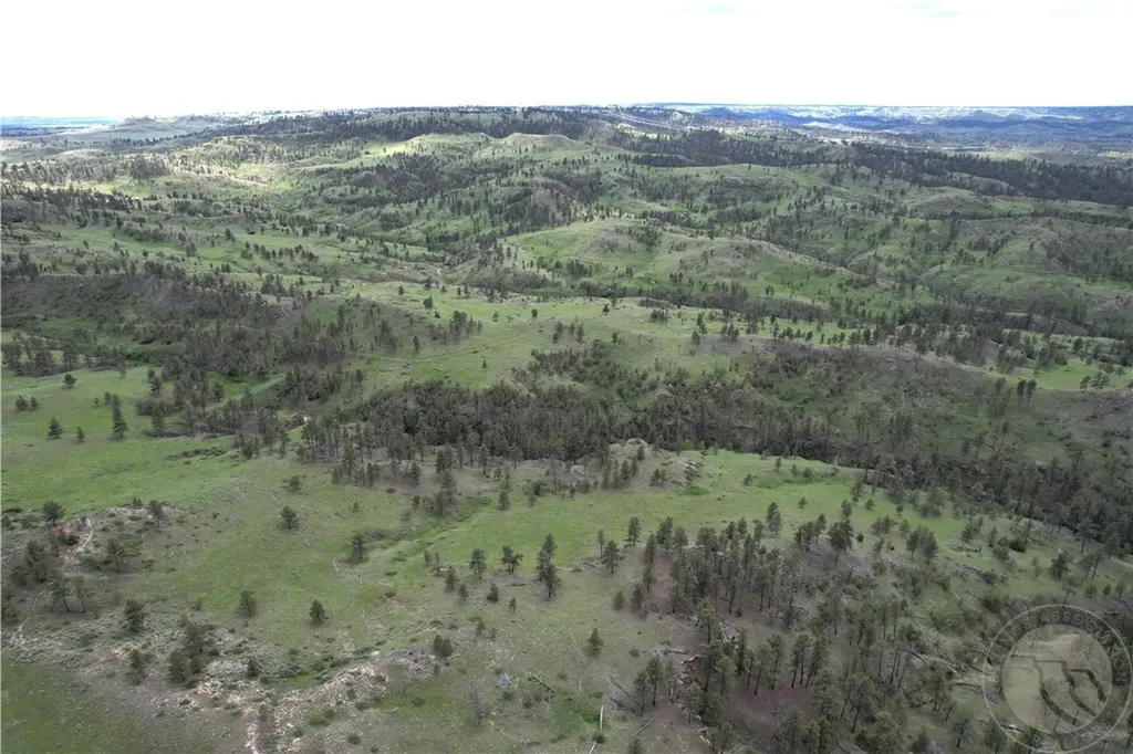Tbd County Road 147a Custer MT 59024