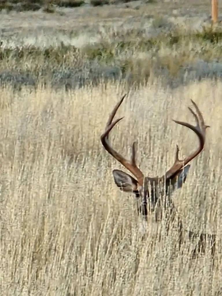Tbd County Road 147a Custer MT 59024