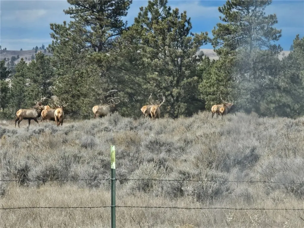 Tbd County Road 147a Custer MT 59024
