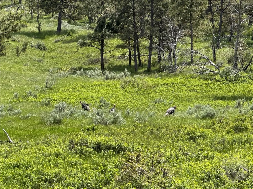 Tbd County Road 147a Custer MT 59024