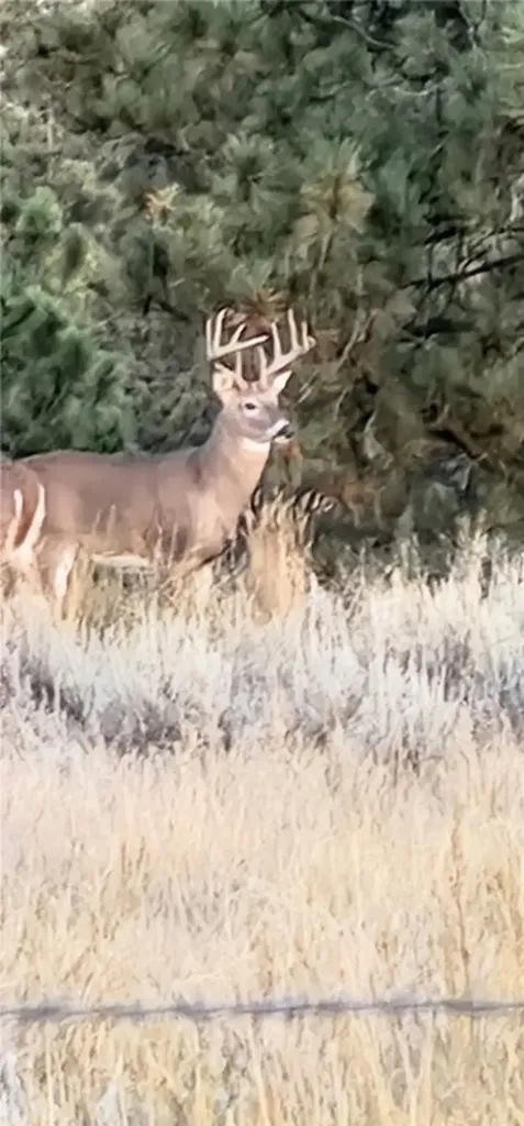 Tbd County Road 147a Custer MT 59024