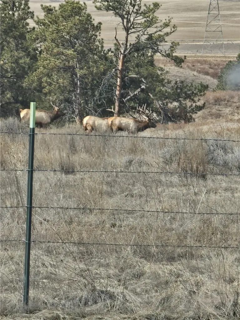 Tbd County Road 147a Custer MT 59024