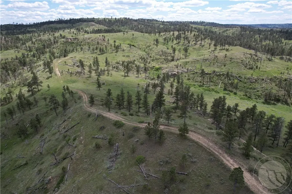 Tbd County Road 147a Custer MT 59024