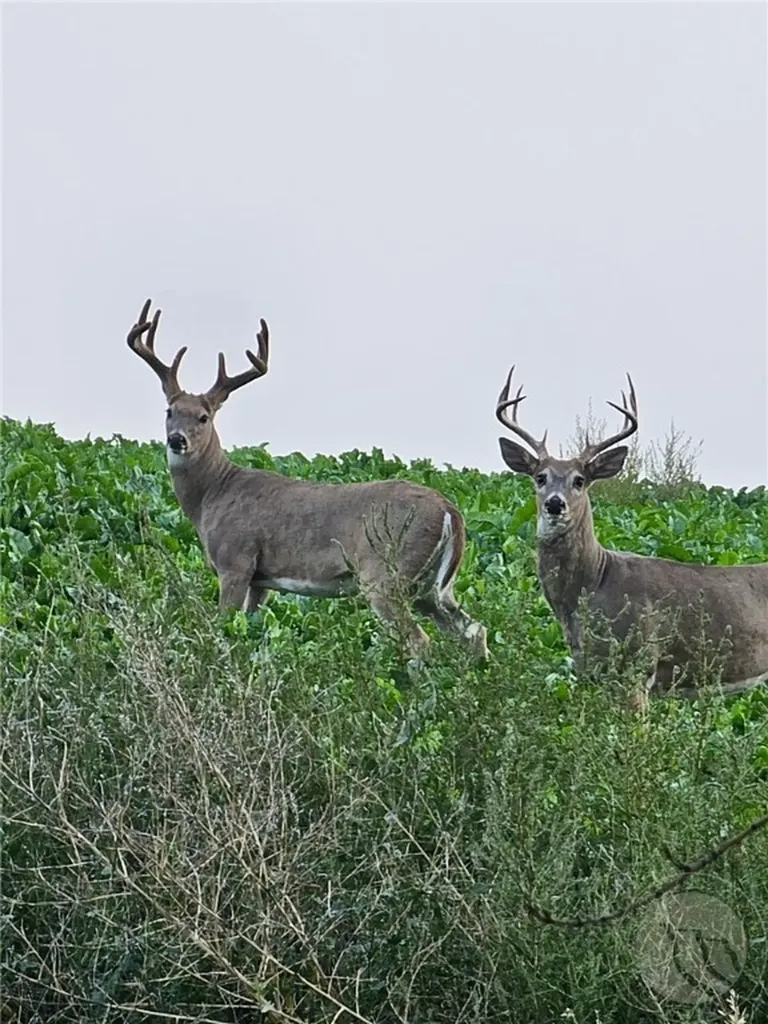 Tbd County Road 147a Custer MT 59024