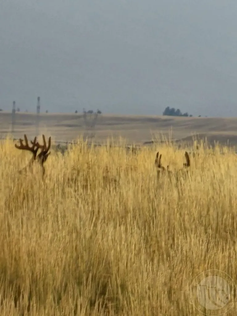 Tbd County Road 147a Custer MT 59024