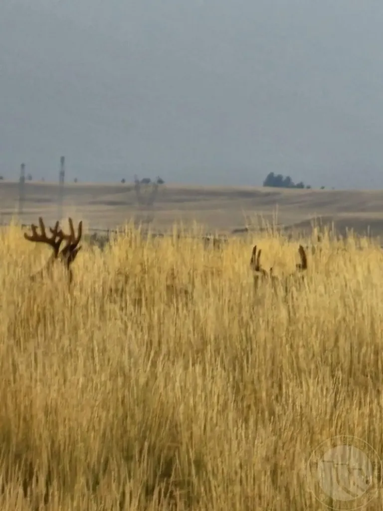 Tbd County Road 147a Custer MT 59024