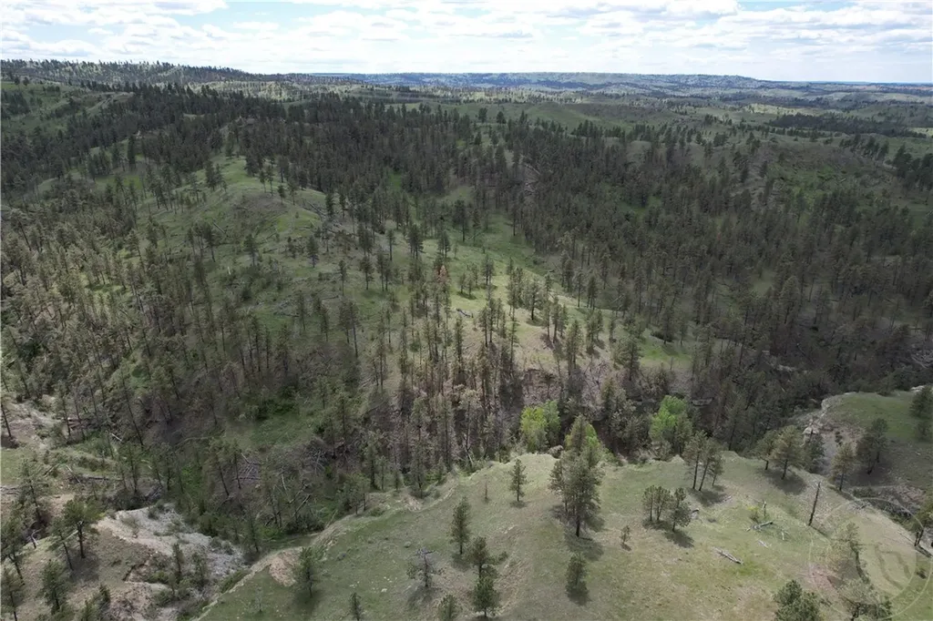 Tbd County Road 147a Custer MT 59024